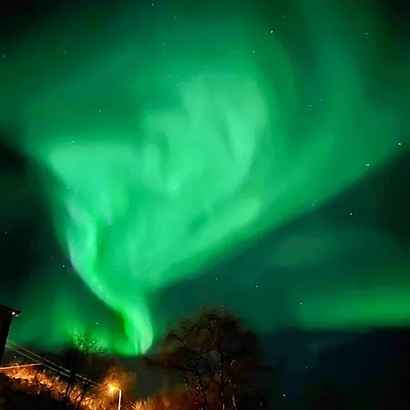Hébergement de vacances Experience Aurora At Arctic In North Norway Neiden